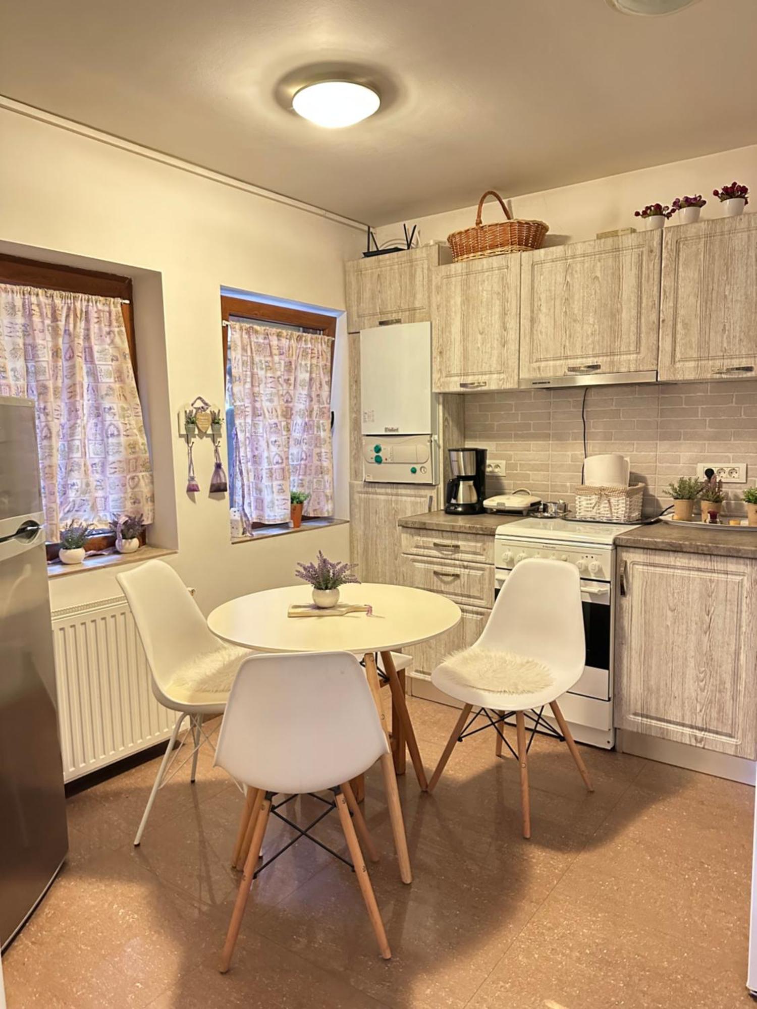 Grazia Apartment Temesvár Kültér fotó